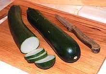 220px-Cucurbita_pepo1