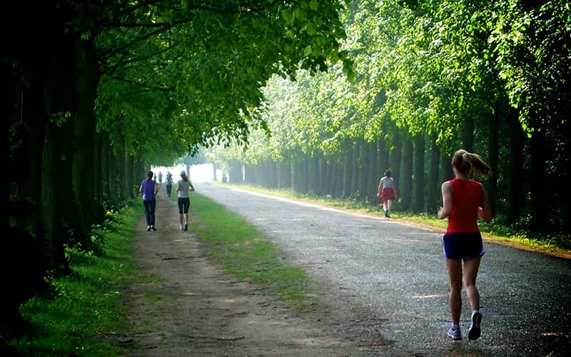 LivingFitnessRunningFranceVersailles